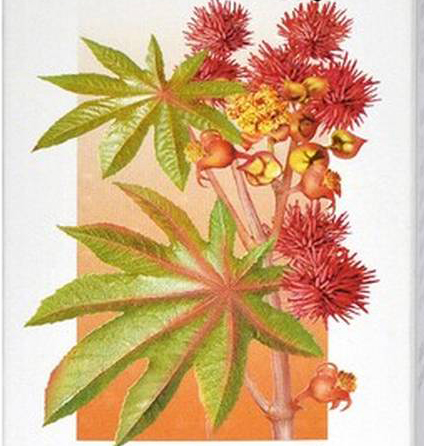 专业医疗设备制造商